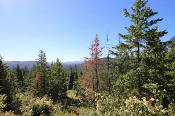XXX Buck Creek Rd, Newport, WA 99156