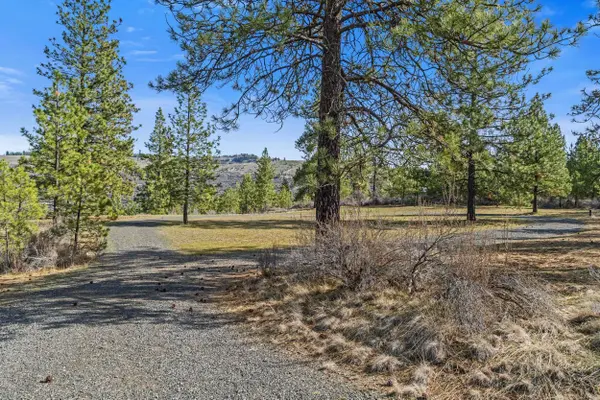 38800 E Sand Flats Dr, Davenport, WA 99122