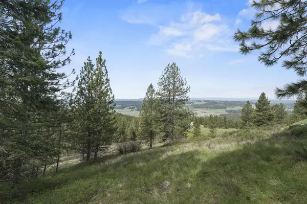 N Rockspring Ln, Mead, WA 99021