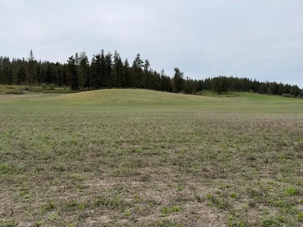 TBD Zimmer Rd, Addy, WA 99101