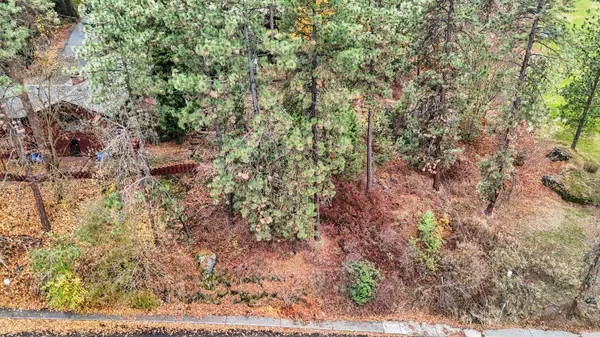 1101 S Upper Vista Dr, Spokane, WA 99202