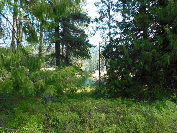 XX 20 Hwy, Cusick, WA 99119