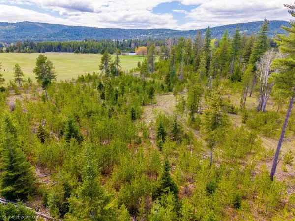NKN Evergreen Rd, Ione, WA 99139