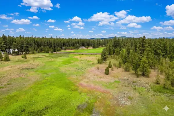 17305 S Blasted Ln, Cheney, WA 99004