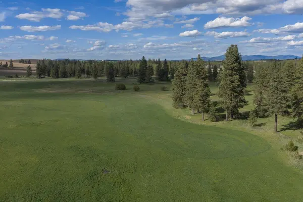 32312 S North Pine Creek Rd, Spangle, WA 99031