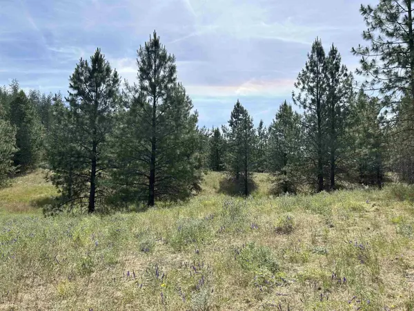 5880 Lot 3 Lower Weaver WAY #Parcel# 5807123, Nine Mile Falls, WA 99026