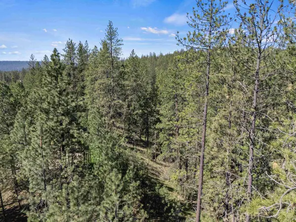 58xx Lot 2 Lower Weaver WAY #Parcel# 5807122, Nine Mile Falls, WA 99026