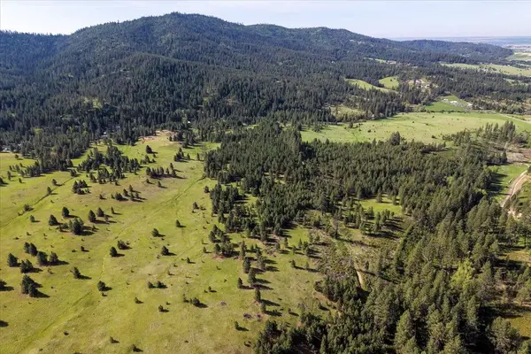 TBD E Belmont Rd, Mica, WA 99023