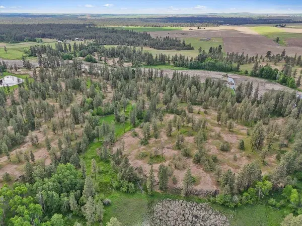 NKA Malloy Prairie Rd #Parcel A, 03032.9048, Cheney, WA 99004