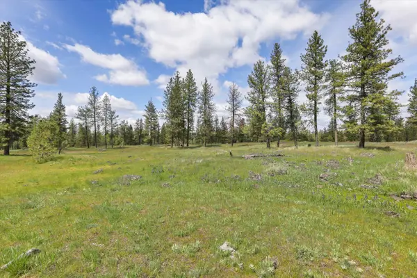 NKA Malloy Prairie Rd #Parcel A, 03032.9048, Cheney, WA 99004