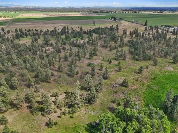 NKA Malloy Prairie Rd #Parcel C, 03032.9050, Cheney, WA 99004