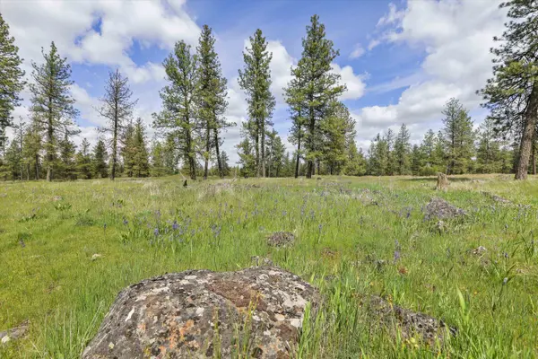 NKA Malloy Prairie Rd #Parcel D, 03032.9051, Cheney, WA 99004