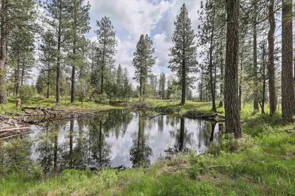 NKA Malloy Prairie Rd #Parcel G, 03032.9054, Cheney, WA 99004