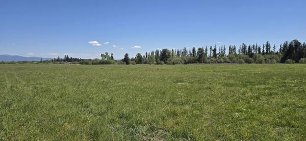 44XX N Swenson Rd, Clayton, WA 99110