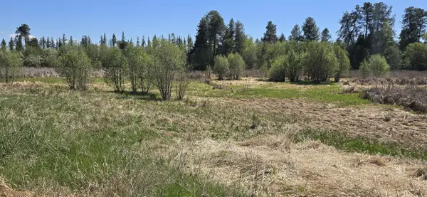 44XX N Swenson Rd, Clayton, WA 99110