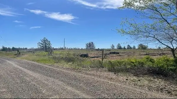 19456 S Harrison Rd, Edwall, WA 99008