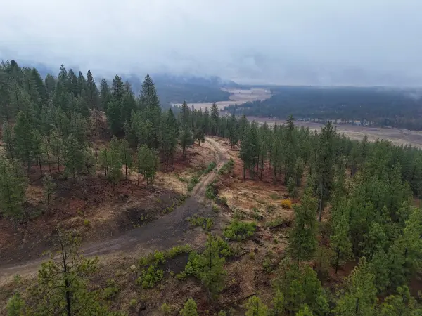 5xxx HWY 231 Hwy, Ford, WA 99013