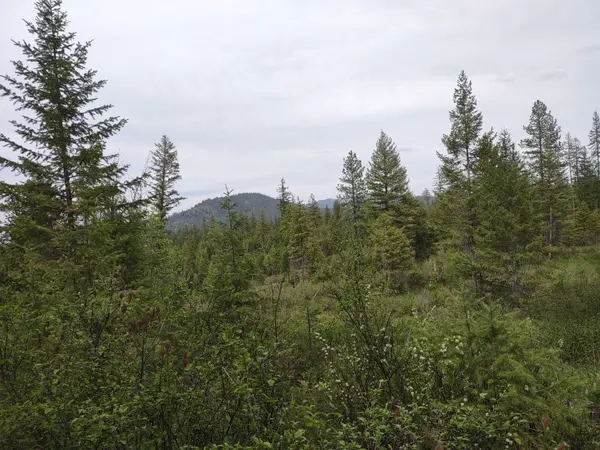 X E Jump Off Rd #Lot 1, 61.45 acres, Valley, WA 99181