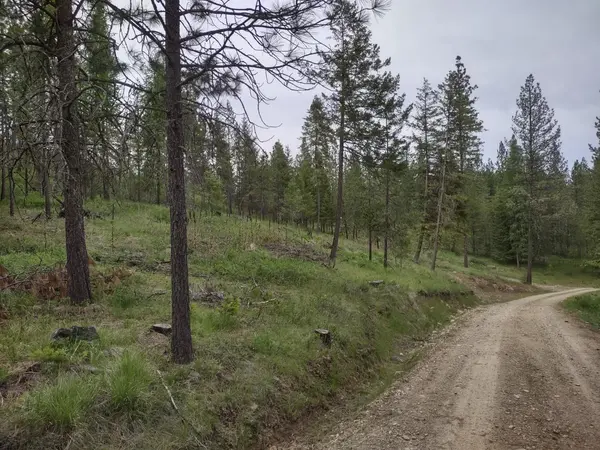 XXX E Jump Off Rd #125 acres, Valley, WA 99181