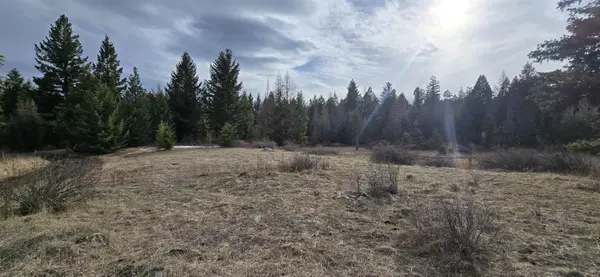 99 Prior Loop Rd, Other, WA 98844
