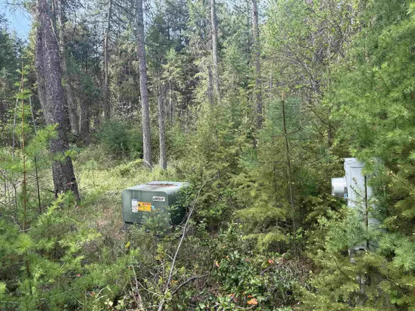 67 First Thought LOOP, Other, WA 99146