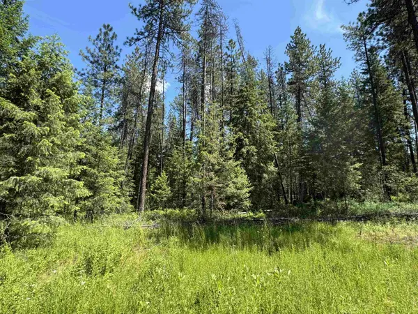 610 N A St #Lot #2, Springdale, WA 99173