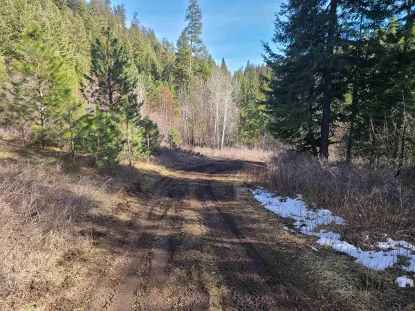 2584-F Bridgeman Rettinger Rd, Kettle Falls, WA 99141