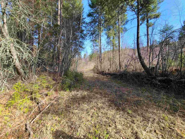 2584-F Bridgeman Rettinger Rd, Kettle Falls, WA 99141
