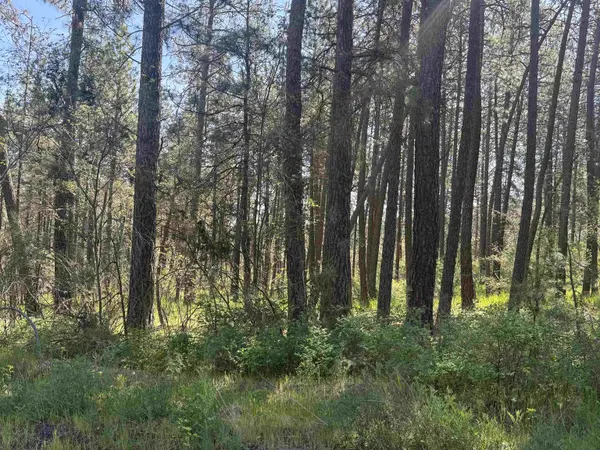 34XX W Thorpe Rd, Spokane, WA 99224