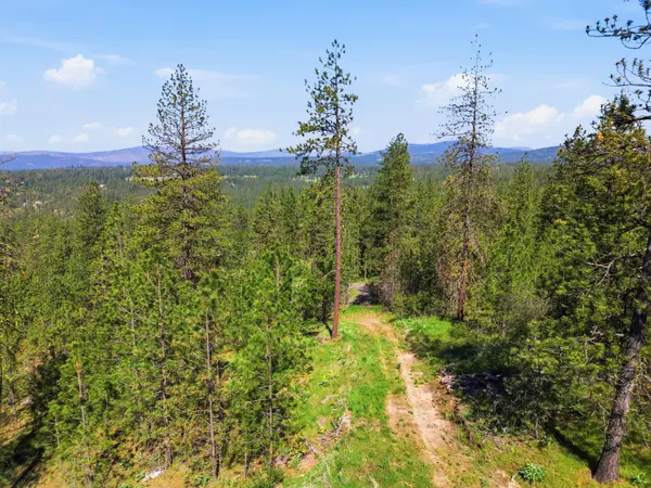 NKA Weaver WAY #Lot D & C, Deer Park, WA 99006