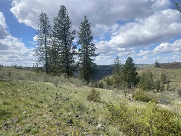 27220 E Underwood Canyon Rd, Creston, WA 99117