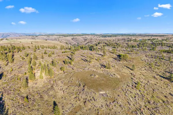 27220 E Underwood Canyon Rd, Creston, WA 99117