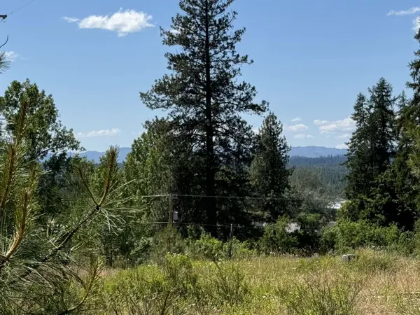 530 N A St #Lot #4, Springdale, WA 99173