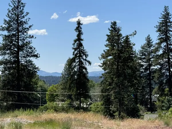 530 N A St #Lot #4, Springdale, WA 99173