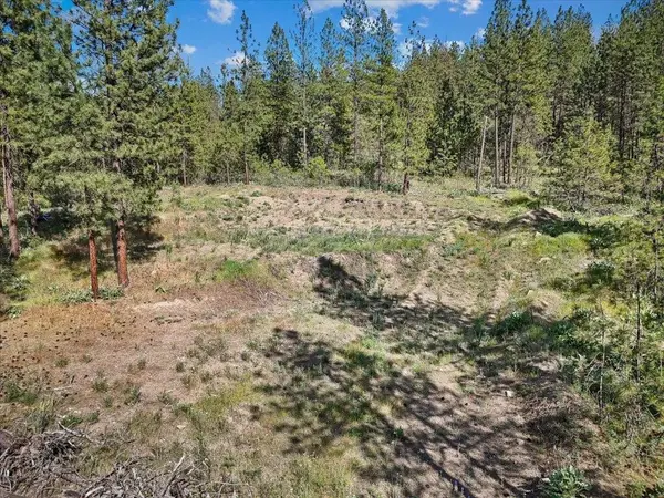 21XXX W South Bank Rd, Nine Mile Falls, WA 99026
