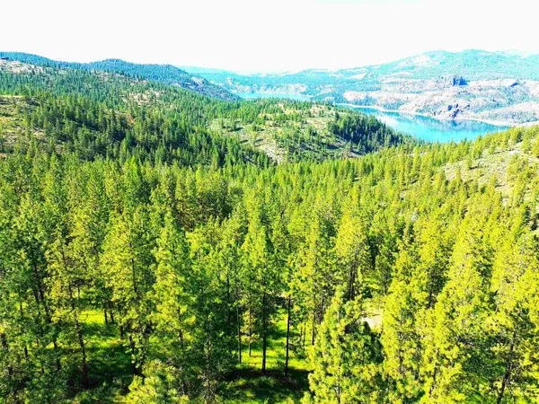 XX00 E Timberbay Dr #Lot 55A & 55B Timberbay Drive E, Davenport, WA 99122