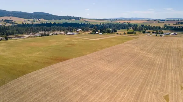 13505 E Gibbs Rd, Mica, WA 99023