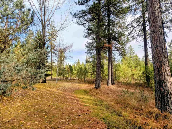 4040 Lyon Moss Rd, Loon Lake, WA 99148