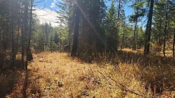 43xx Lyons Hill Rd, Springdale, WA 99173