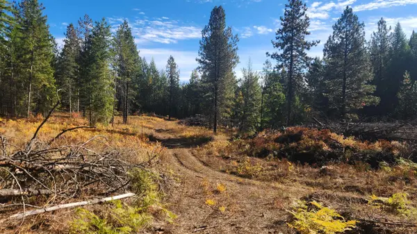 43xx Lyons Hill Rd, Springdale, WA 99173