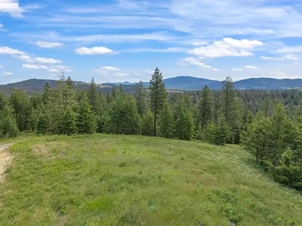 9630 S Sands Rd, Valleyford, WA 99036