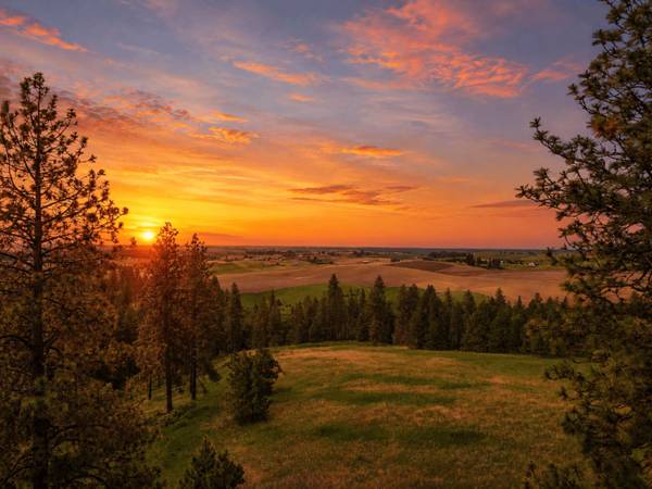 9630 S Sands Rd, Valleyford, WA 99036