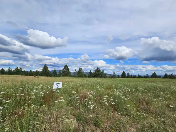 NNA S Sands Rd #Lot 5, Valleyford, WA 99036