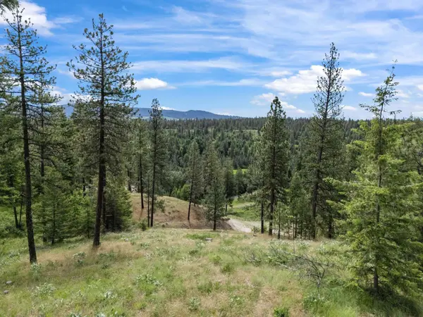 9630 S Sands Rd #Lot 6, Valleyford, WA 99036