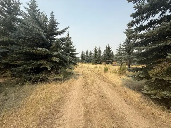 13XXX E Gibbs Rd, Mica, WA 99023