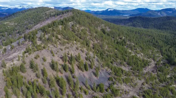 352X Greene Rd, Valley, WA 99181