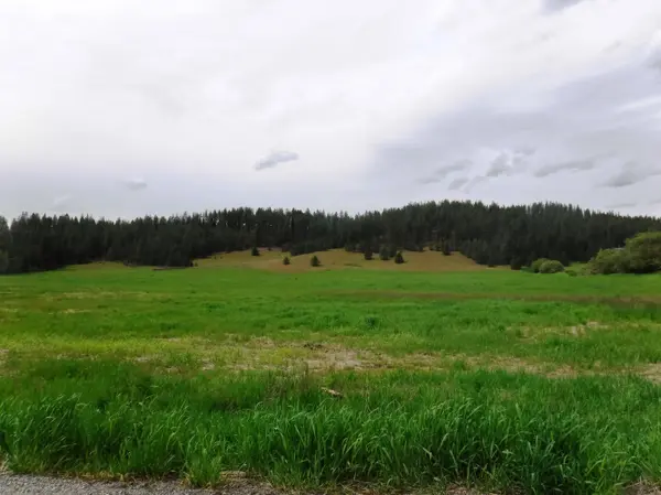 XX Woolard Rd, Colbert, WA 99005