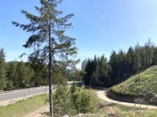 1381 #B S HWY 25 Hwy, Kettle Falls, WA 99141-9941