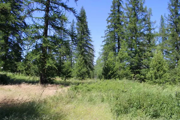 45XX W Gibson-Dahl Rd, Clayton, WA 99110