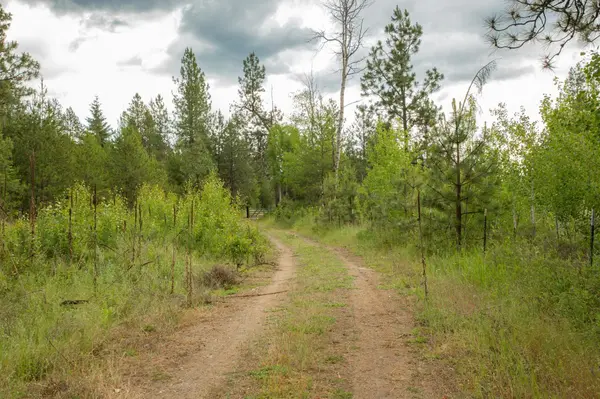 4110 Cemetery Tract AB Rd, Springdale, WA 99137
